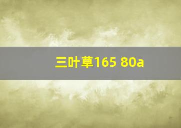 三叶草165 80a